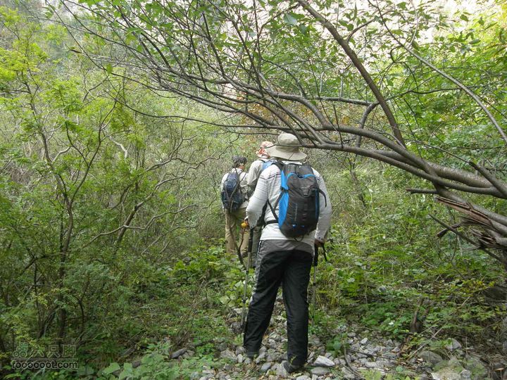 庆国庆再寻任老师-铁坨山北上南下-赵家台PA010446