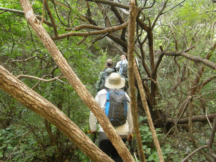 庆国庆再寻任老师-铁坨山北上南下-赵家台PA010448