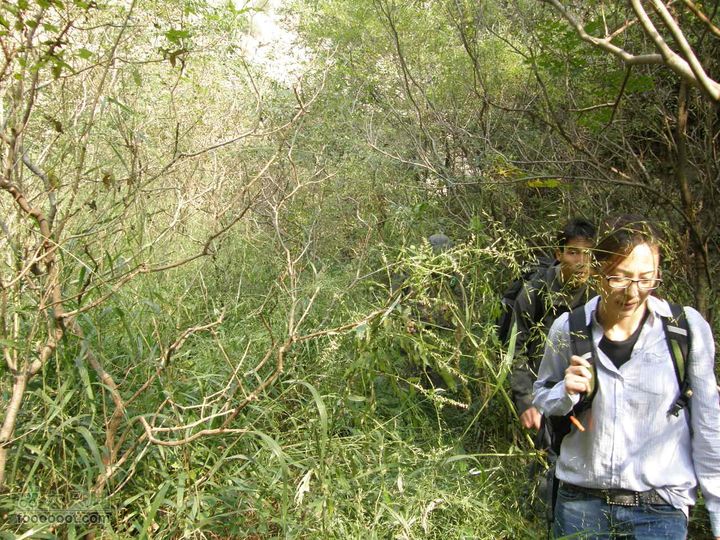 庆国庆再寻任老师-铁坨山北上南下-赵家台PA010450