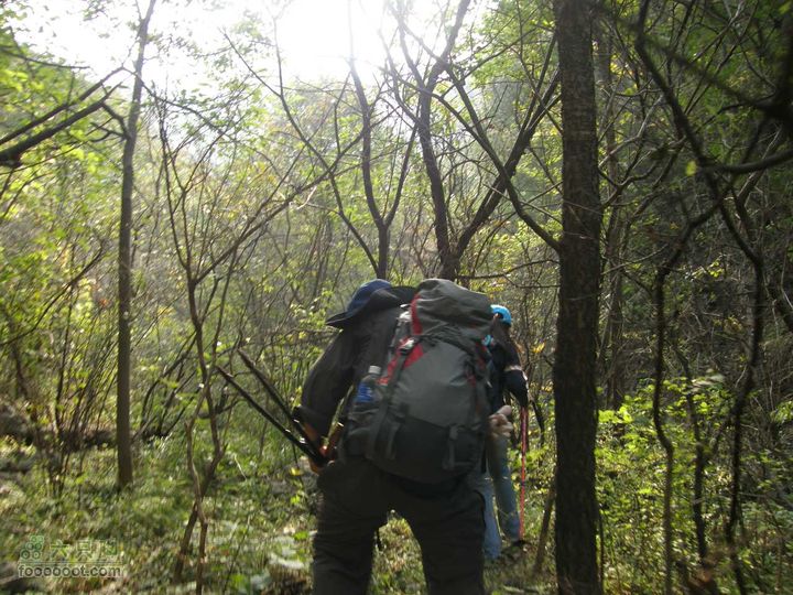 庆国庆再寻任老师-铁坨山北上南下-赵家台PA010453