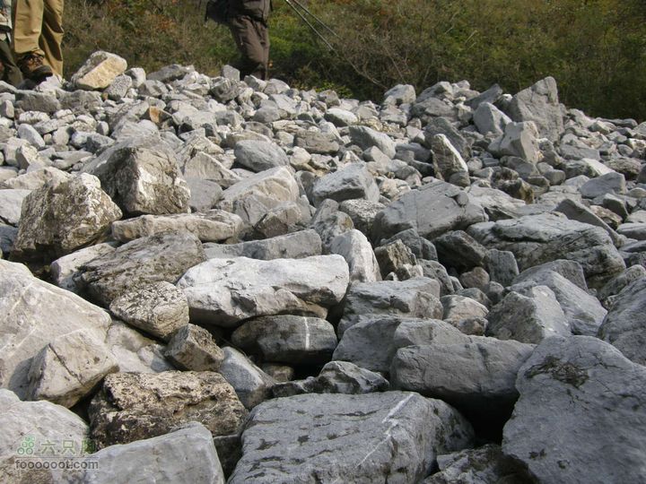 庆国庆再寻任老师-铁坨山北上南下-赵家台PA010460