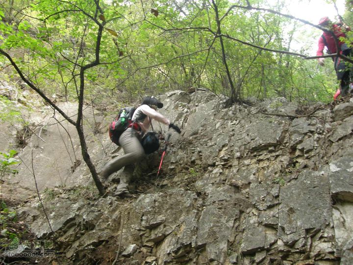 庆国庆再寻任老师-铁坨山北上南下-赵家台PA010476