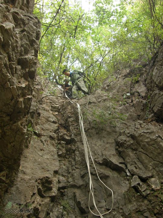 庆国庆再寻任老师-铁坨山北上南下-赵家台PA010515
