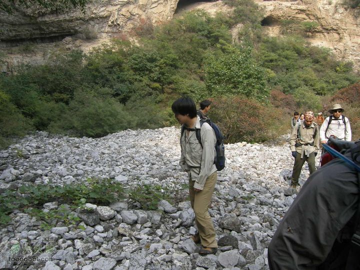 庆国庆再寻任老师-铁坨山北上南下-赵家台PA010462