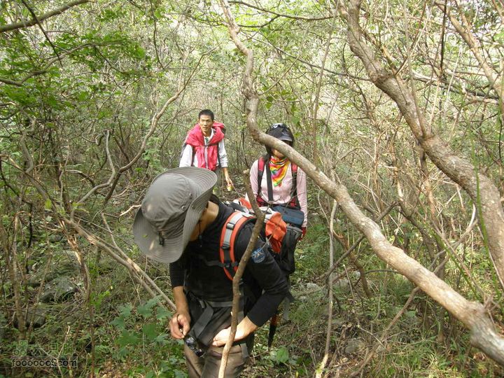 庆国庆再寻任老师-铁坨山北上南下-赵家台PA010465