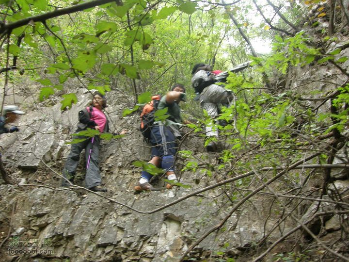 庆国庆再寻任老师-铁坨山北上南下-赵家台PA010471