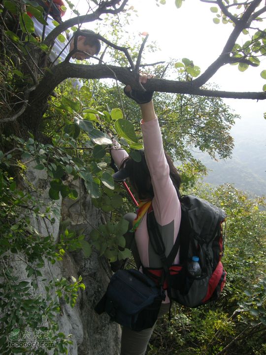 庆国庆再寻任老师-铁坨山北上南下-赵家台PA010483