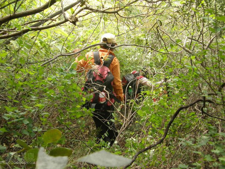 庆国庆再寻任老师-铁坨山北上南下-赵家台PA010491