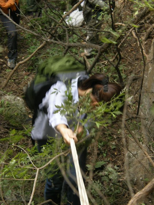 庆国庆再寻任老师-铁坨山北上南下-赵家台PA010507