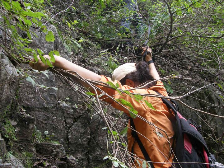 庆国庆再寻任老师-铁坨山北上南下-赵家台PA010529