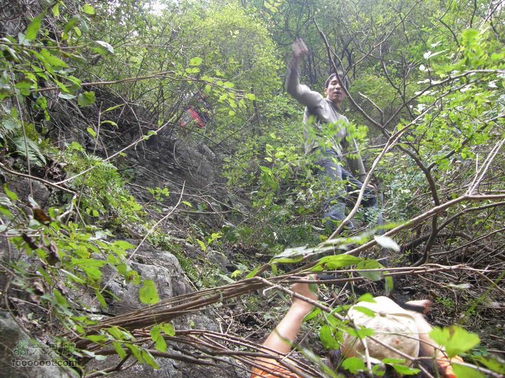 庆国庆再寻任老师-铁坨山北上南下-赵家台PA010530