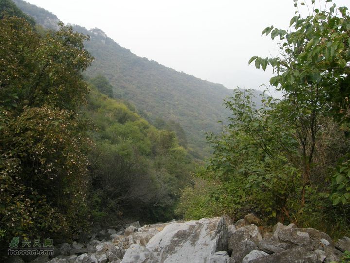 庆国庆再寻任老师-铁坨山北上南下-赵家台PA010532