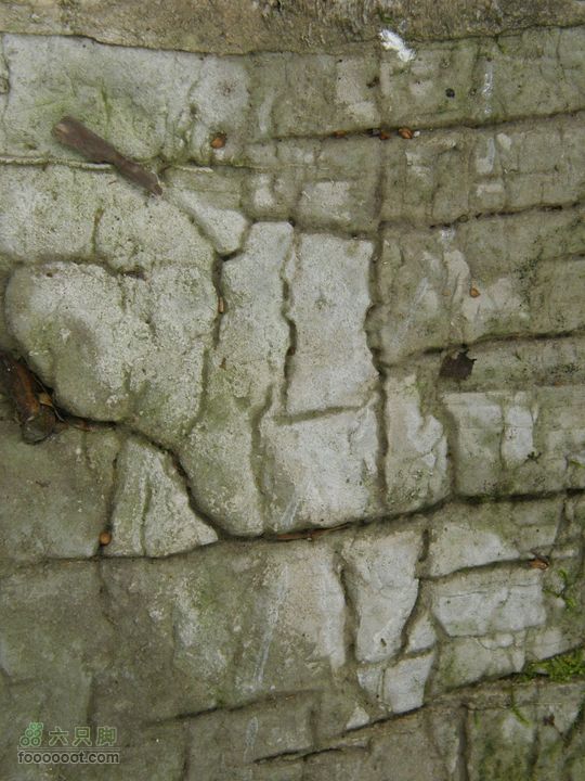 庆国庆再寻任老师-铁坨山北上南下-赵家台PA010533