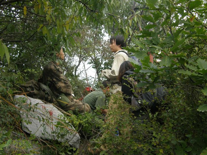 庆国庆再寻任老师-铁坨山北上南下-赵家台PA010540