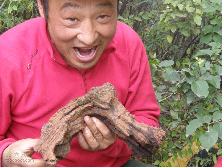 庆国庆再寻任老师-铁坨山北上南下-赵家台PA010544