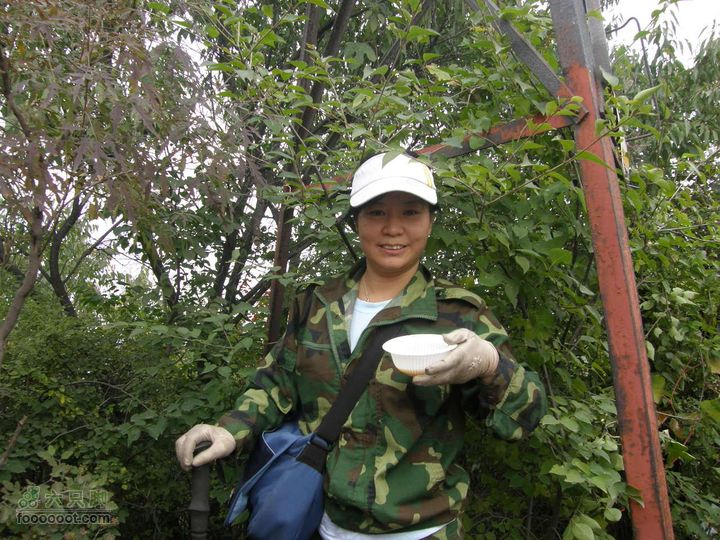 庆国庆再寻任老师-铁坨山北上南下-赵家台PA010551