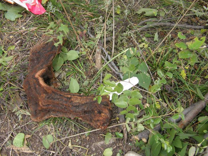 庆国庆再寻任老师-铁坨山北上南下-赵家台PA010545