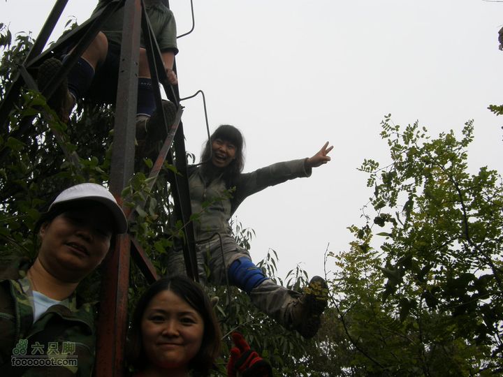 庆国庆再寻任老师-铁坨山北上南下-赵家台PA010558