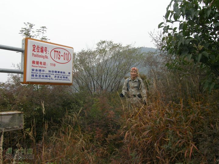 庆国庆再寻任老师-铁坨山北上南下-赵家台PA010583