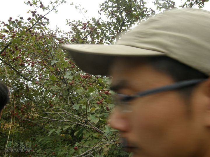 庆国庆再寻任老师-铁坨山北上南下-赵家台PA010585