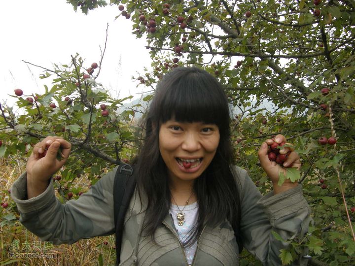 庆国庆再寻任老师-铁坨山北上南下-赵家台PA010595