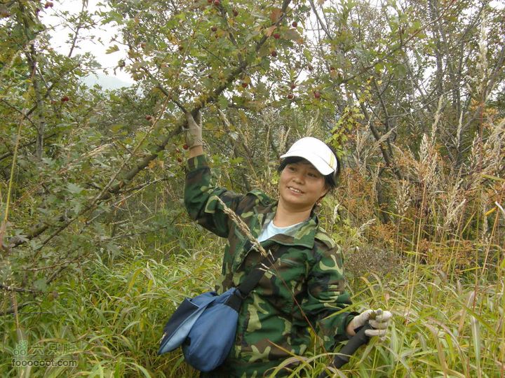 庆国庆再寻任老师-铁坨山北上南下-赵家台PA010603