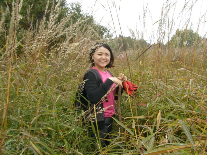 庆国庆再寻任老师-铁坨山北上南下-赵家台PA010606