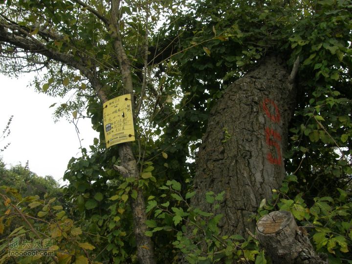 庆国庆再寻任老师-铁坨山北上南下-赵家台PA010608