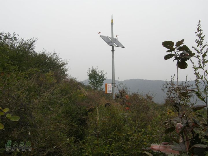 庆国庆再寻任老师-铁坨山北上南下-赵家台PA010610