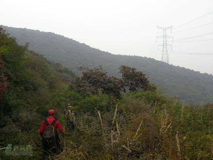 庆国庆再寻任老师-铁坨山北上南下-赵家台PA010616