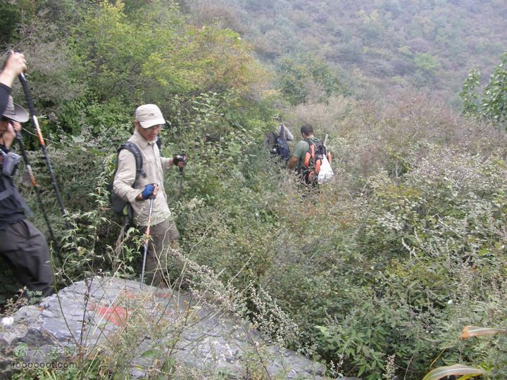 庆国庆再寻任老师-铁坨山北上南下-赵家台PA010618