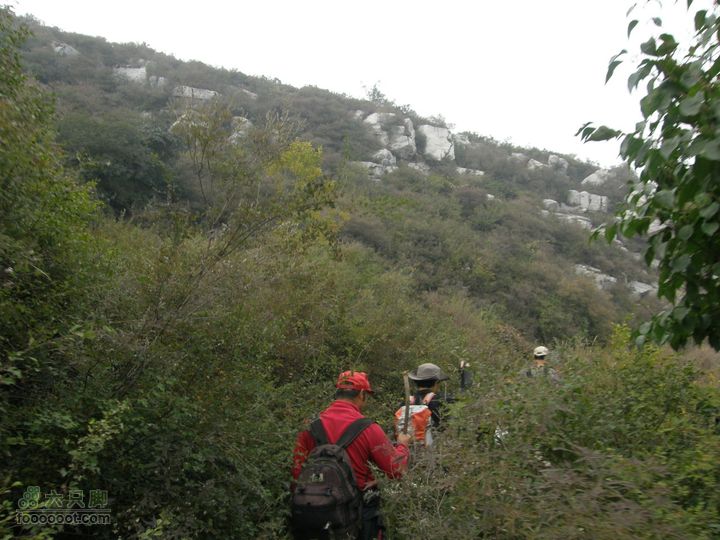 庆国庆再寻任老师-铁坨山北上南下-赵家台PA010619