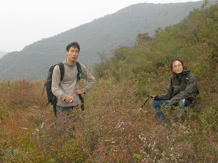 庆国庆再寻任老师-铁坨山北上南下-赵家台PA010623