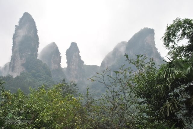德夯苗寨DSC_0126