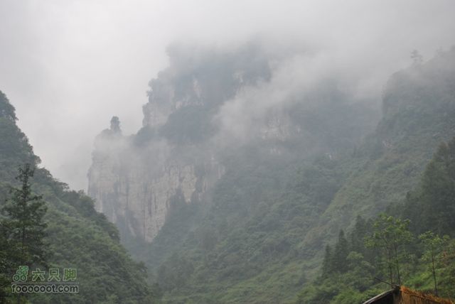 德夯苗寨DSC_0148