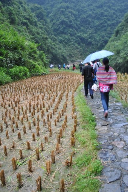 德夯苗寨DSC_0158