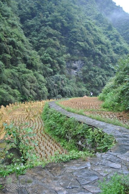 德夯苗寨DSC_0159