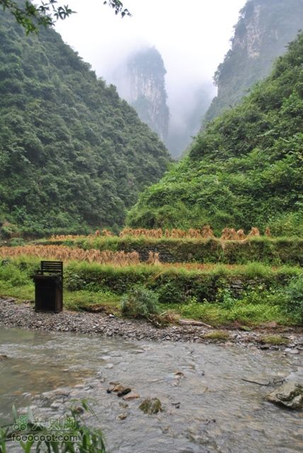 德夯苗寨DSC_0161