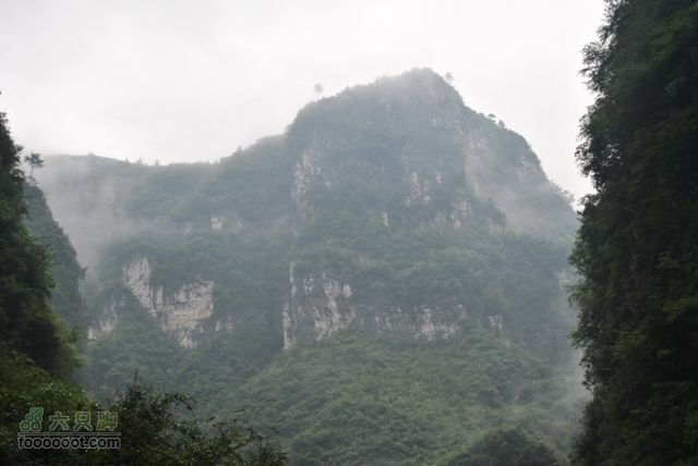德夯苗寨DSC_0176