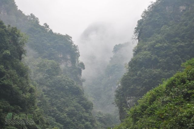 德夯苗寨DSC_0179