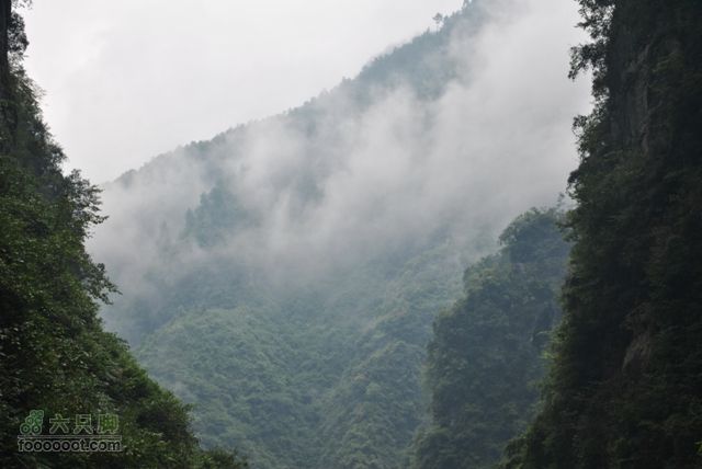 德夯苗寨DSC_0200