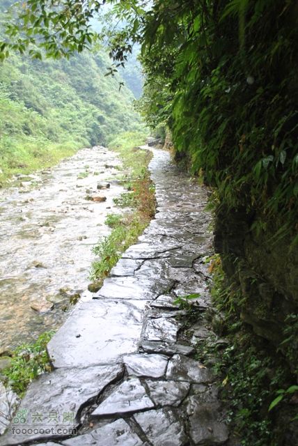 德夯苗寨DSC_0205