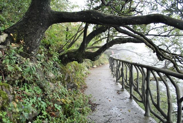 张家界之天门山DSC_0036