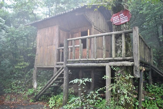 张家界之天门山DSC_0040