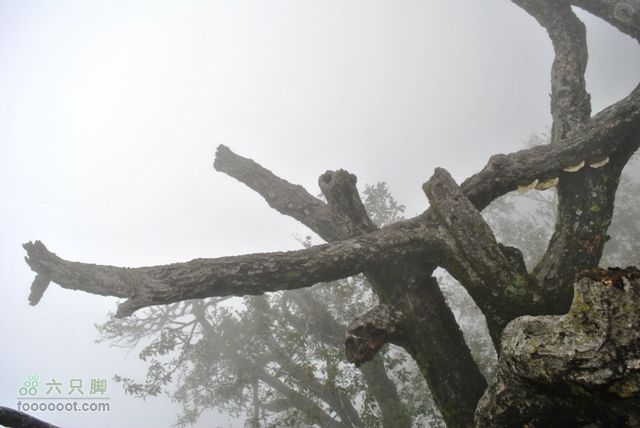 张家界之天门山DSC_0052