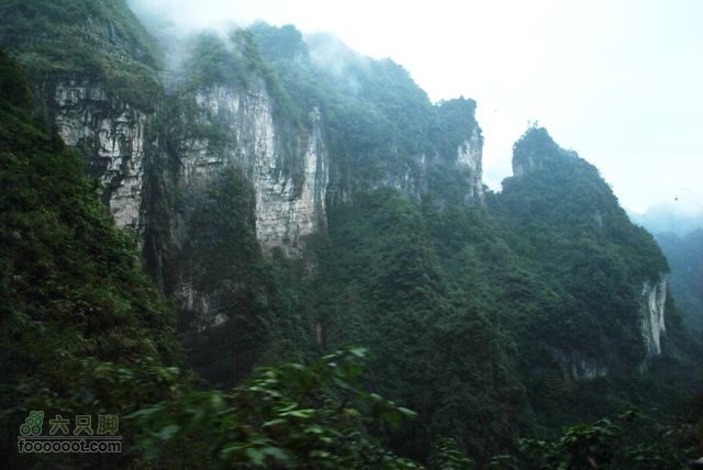张家界之天门山DSC_0110
