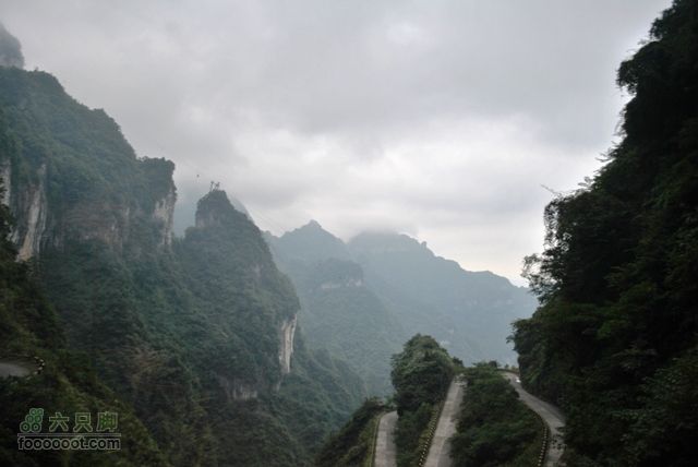 张家界之天门山DSC_0081