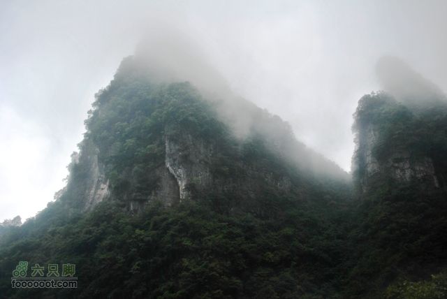 张家界之天门山DSC_0082