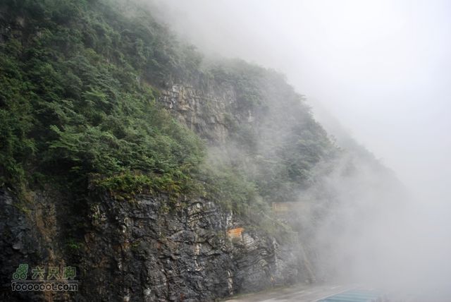 张家界之天门山DSC_0099