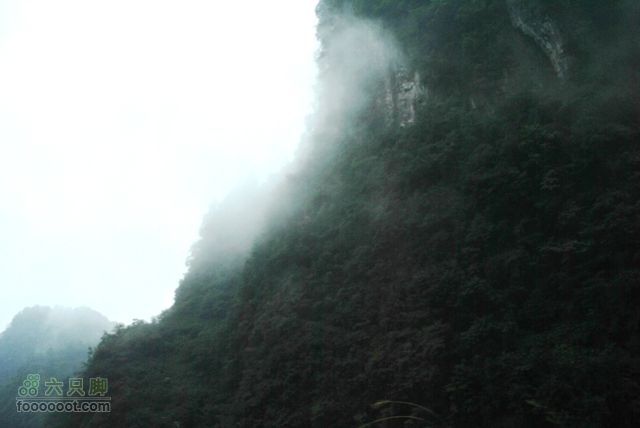 张家界之天门山DSC_0105